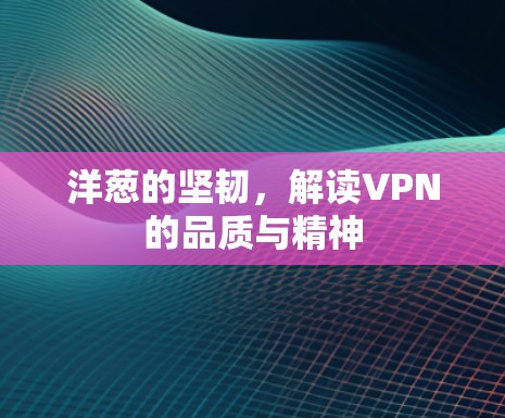洋葱的坚韧,解读VPN的品质与精神