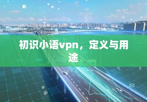 初识小语vpn,定义与用途