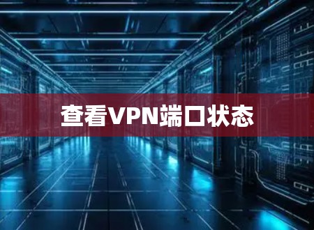 查看VPN端口状态 查看VPN端口状态