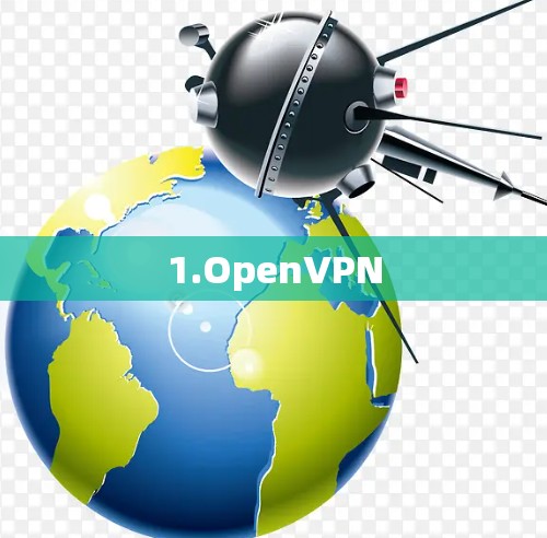 1.OpenVPN 1.OpenVPN